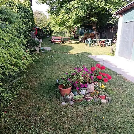Dvoriste Danguba Luxusní stan Nova Pazova